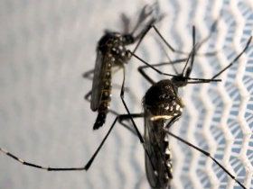 Óbitos por dengue chegam a 14 em São Paulo e a 21 no Brasil em 2025 3 1 11