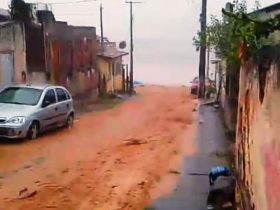 Imagem do WhatsApp de 2025 01 12 as 09.54.14 3bca02b7 1