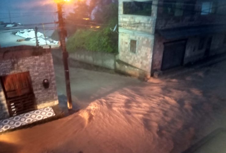 Imagem do WhatsApp de 2025 01 14 as 18.42.10 ef83ce2f