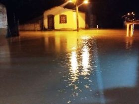 Imagem do WhatsApp de 2025 01 14 as 20.05.42 ad1ce7a7