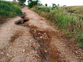 Imagem do WhatsApp de 2025 01 19 as 07.20.16 b8aef2cb