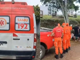 Enterro é interrompido por ataque de abelhas em cemitério de Ilhéus 15 1 23