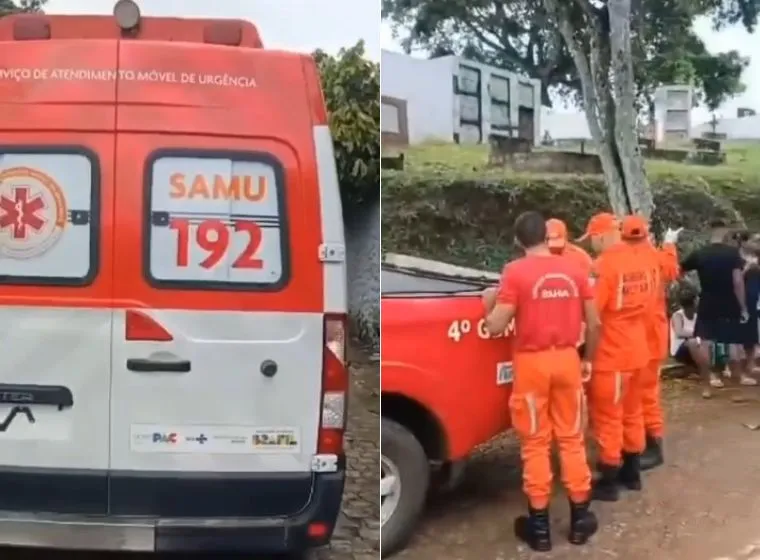 Enterro é interrompido por ataque de abelhas em cemitério de Ilhéus 1 1 23