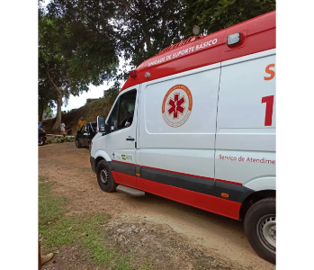 Enterro é interrompido por ataque de abelhas em cemitério de Ilhéus 4 2 10