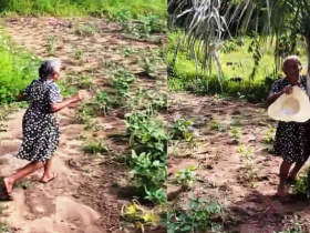 Idosa toma susto ao ser gravada por drone do neto no Interior do Ceará e reação surpreende: 'Medo do fim do mundo' 9 1 51