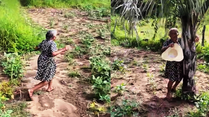 Idosa toma susto ao ser gravada por drone do neto no Interior do Ceará e reação surpreende: 'Medo do fim do mundo' 1 1 51