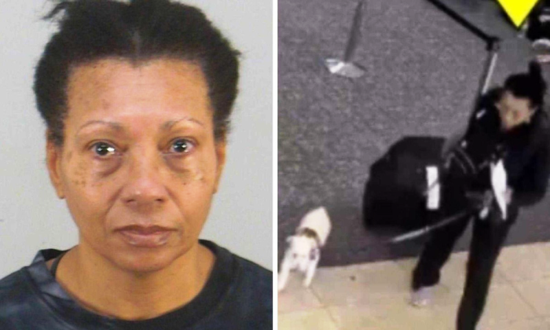 Polícia prende mulher acusada de matar próprio cachorro em aeroporto 1 1 61