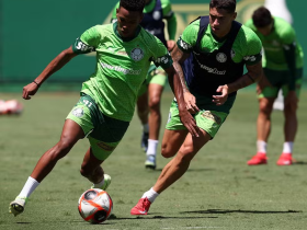 Palmeiras eleva disputa em todos os setores e confia em elenco fortalecido para avançar à final 30 2 7