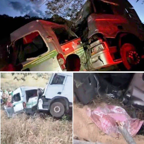 Tragédia na Chapada Diamantina: colisão entre van e carreta deixa 11 mortos na BR-242 1 3 11