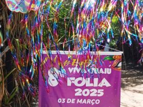 Imagem do WhatsApp de 2025 03 04 as 09.34.25 698edba2