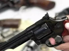 Qual a Diferença do .22 LR para o .22 Magnum? Entenda as Particularidades de Cada Calibre 12 Arma de fogo