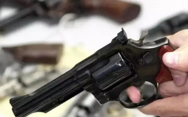 Qual a Diferença do .22 LR para o .22 Magnum? Entenda as Particularidades de Cada Calibre 3 Arma de fogo