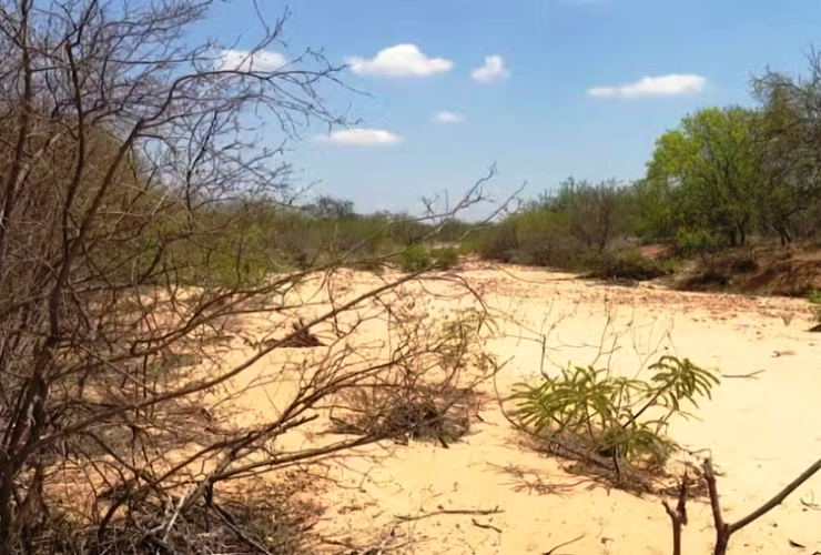 Sessenta e cinco municípios estão em situação de emergência por causa da estiagem na Bahia; veja lista 12 2 4