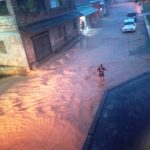 Imagem do WhatsApp de 2025 01 14 as 18.42.09 a2a1e94a