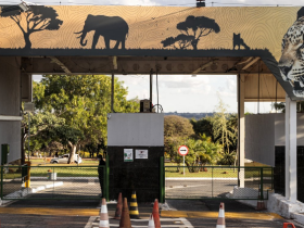 Zoológico de Brasília Fecha por Suspeita de Gripe Aviária 26 1 56