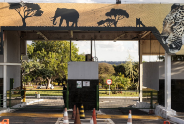 Zoológico de Brasília Fecha por Suspeita de Gripe Aviária 6 1 56