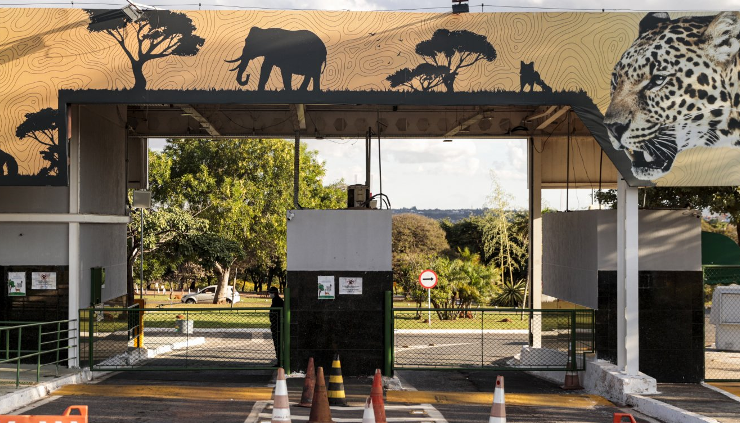 Zoológico de Brasília Fecha por Suspeita de Gripe Aviária 12 1 56