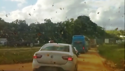 BR-101: Interdição de ponte no Jequitinhonha em Itapebi provoca transtornos e cancelamentos de viagens. 5 11