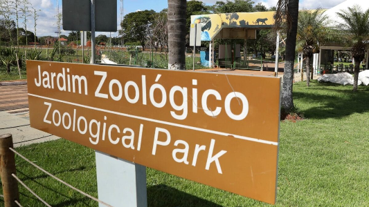 Zoológico de Brasília Fecha por Suspeita de Gripe Aviária 4 2 29