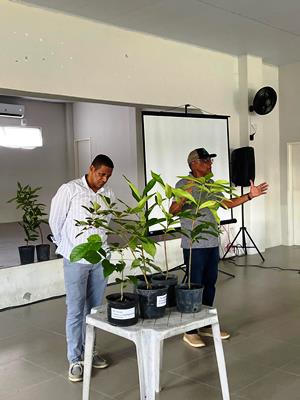 Itapebi Celebra a Mata Atlântica: Riquezas Naturais e Ecoturismo na Sua Região 4 Imagem do WhatsApp de 2025 05 28 as 08.51.35 394fcbf3