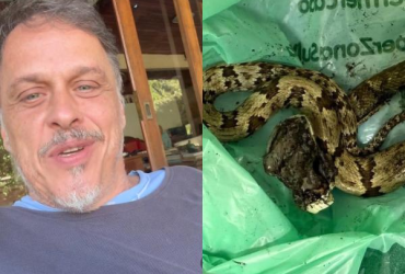 Ator Guilherme Fontes é picado por cobra e é hospitalizado 24 001 1