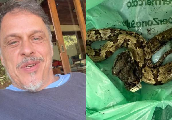 Ator Guilherme Fontes é picado por cobra e é hospitalizado 18 001 1