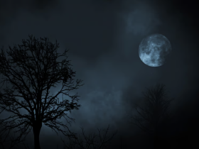 O Inverno Chegou a Itapebi! Solstício Marca a Noite Mais Longa do Ano 30 1 49