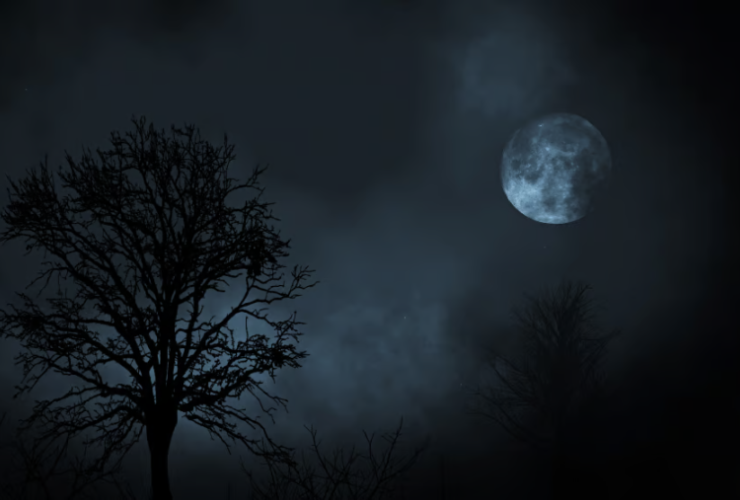 O Inverno Chegou a Itapebi! Solstício Marca a Noite Mais Longa do Ano 15 1 49