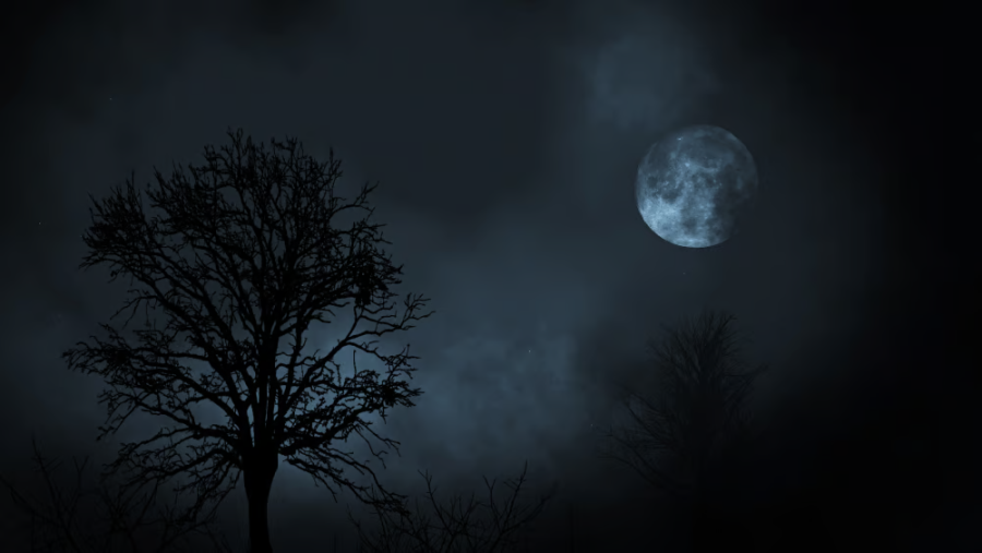 O Inverno Chegou a Itapebi! Solstício Marca a Noite Mais Longa do Ano 1 1 49