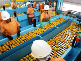 Confira a lista de quase 700 produtos que não serão taxados pelos EUA 9 1 76