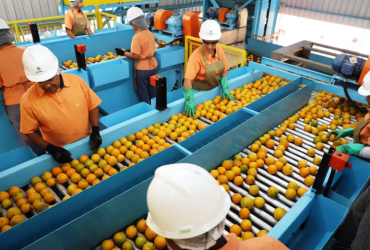 Confira a lista de quase 700 produtos que não serão taxados pelos EUA 18 1 76