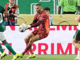 Palmeiras fora: A lamentável sensação de que o potencial não foi explorado 24 2 8