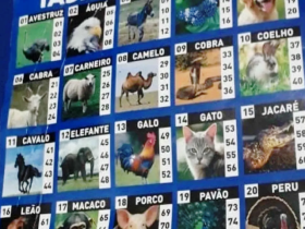 O futuro do Jogo do Bicho: Brasil se prepara para possível legalização 3 Sem titulo1 2