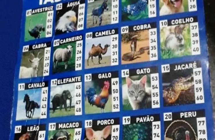 O futuro do Jogo do Bicho: Brasil se prepara para possível legalização 6 Sem titulo1 2