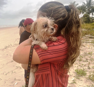 AS TRÊS MULHERES DESAPARECIDAS SÃO ENCONTRADAS MORTAS NA ZONA SUL DE ILHÉUS 5 1 35