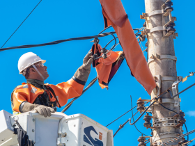 Neoenergia Coelba promove Operação Gatonet em 12 municípios baianos 19 2 31