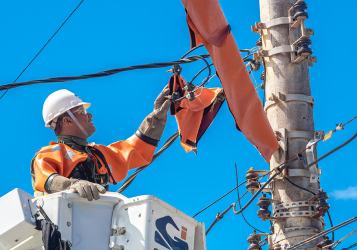 Neoenergia Coelba promove Operação Gatonet em 12 municípios baianos 4 2 32