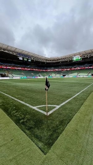 Palmeiras e Sport duelam no Allianz; Verdão quer a liderança do Brasileirão 4 4 8