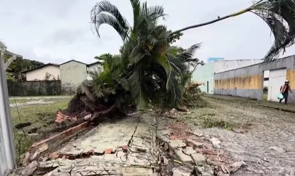 Mar agitado e ventos fortes marcam dia de chuva intensa em Salvador e no extremo sul da Bahia 5 4 8