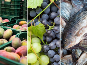 EUA removem tarifa extra de 40% para mais de 200 produtos brasileiros; agro comemora, mas indústria segue frustrada 3 4 1