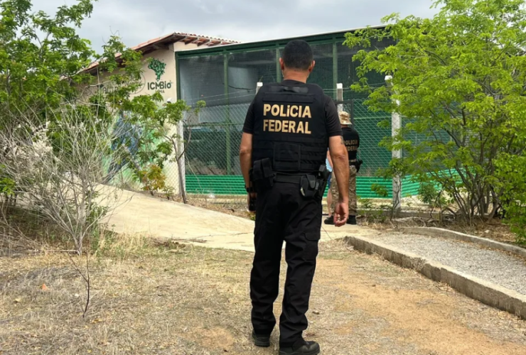 Espécie ameaçada por vírus mortal leva PF a iniciar operação nacional 12 1 10