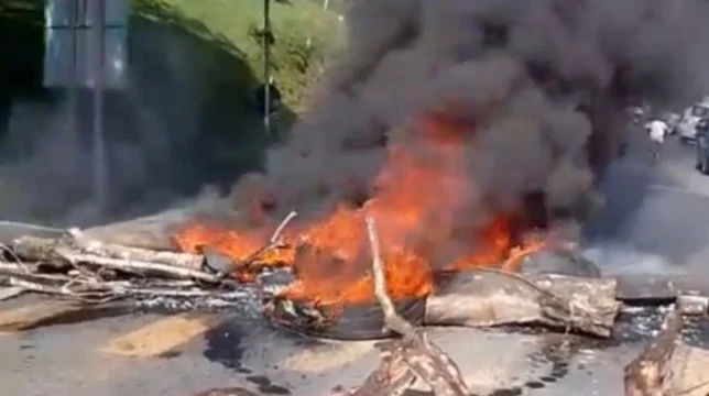 SOS Cacau: Produtores fecham a BR-101 contra importação africana e queda nos preços 4 2 20