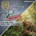 7cca2c2b 2f11 4cfd afb1 bae70a8637da001