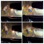 WhatsApp Image 2026 02 02 at 13.19.31b 1