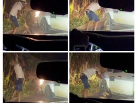 WhatsApp Image 2026 02 02 at 13.19.31b 1