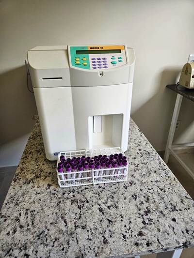 WhatsApp Image 2026 04 22 at 14.40.28 Copia