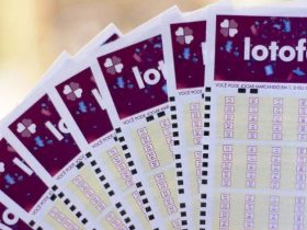 Lotofácil premia aposta do interior baiano com mais de R$ 600 mil 3 182512aposta do interior da bahia fatura mais de r 600 mil na lotofacil 3qa