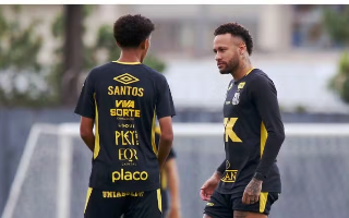 Sem titulo2 1