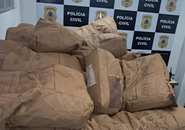 Carga de cacau furtada no sul da Bahia é recuperada pela Polícia Civil 1 1 12