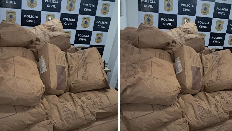 Carga de cacau furtada no sul da Bahia é recuperada pela Polícia Civil 3 12